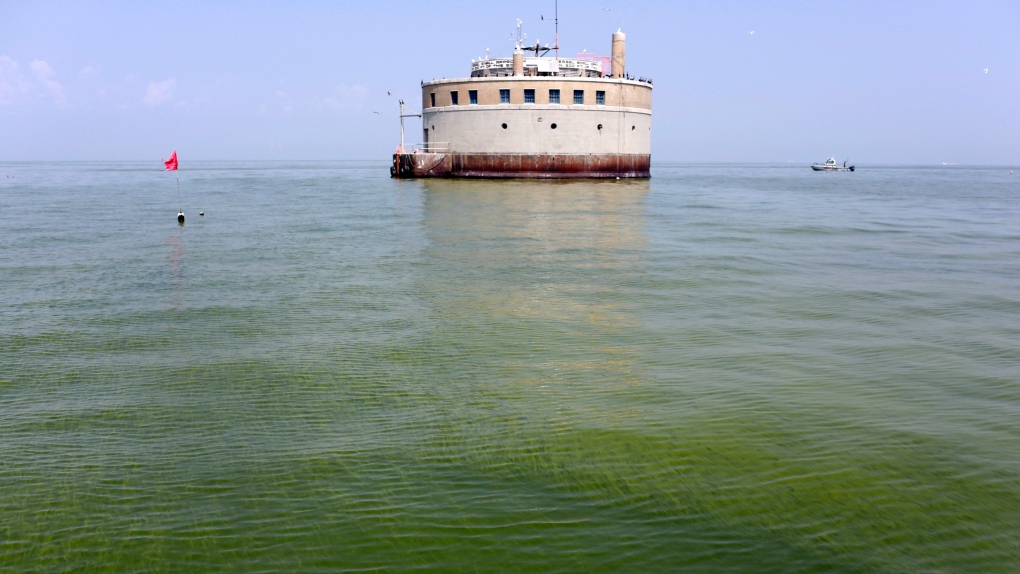Lake Erie Algae file photo
