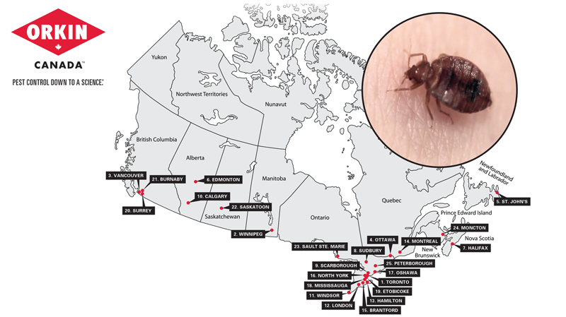 25 worst cities for bed bugs 