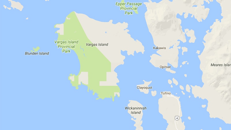 vargas island