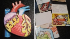 Heart drawing and doodles