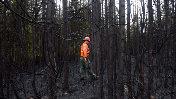 Thunder Bay Fire Ranger John Perry checks out a still a slow burning forest as Fire Rangers battle the blaze to save trailers and homes at the Cache Campground, west of Timmins, Ont., on Sunday, May 27, 2012. (Nathan Denette/The Canadian Press)