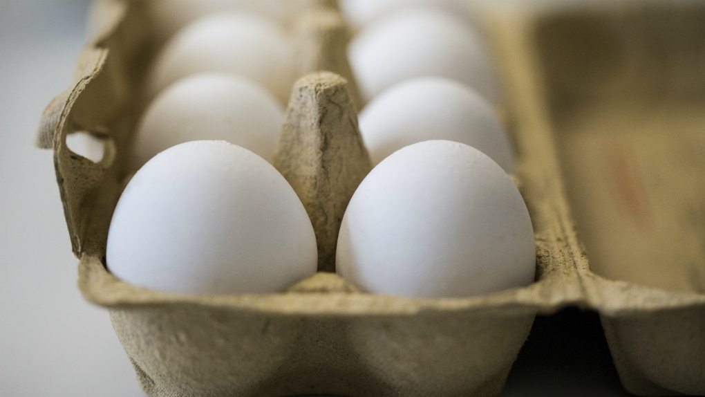 Tainted eggs sold in Europe