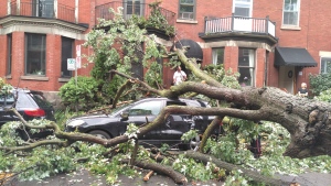 IN PHOTOS: Montreal wallopped by storm