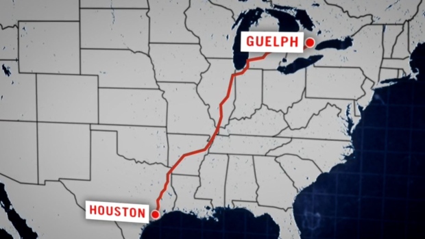 Guelph to Houston graphic