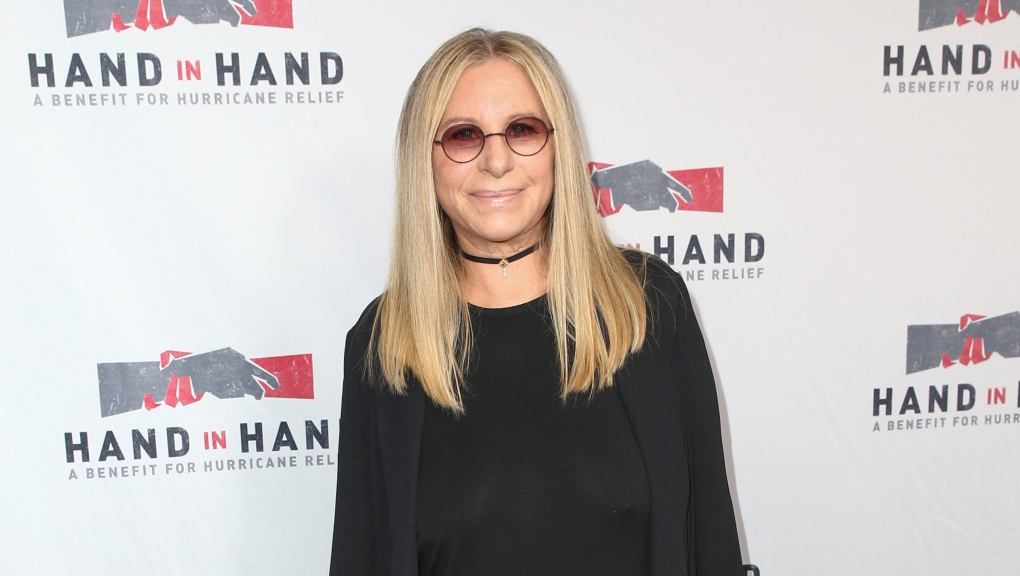 Barbra Streisand attends the Hand in Hand benefit