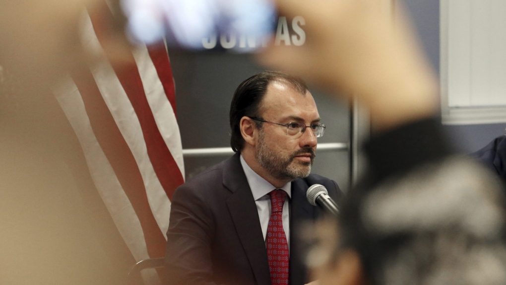 Mexico's Secretary of Foreign Relations Luis Videg