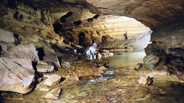 Sullivan Cave Indiana