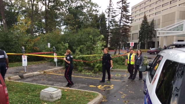 37-year-old Hiba Yusuf was struck by a tree at the Ottawa Hospital General Campus during stormy weather on Wednesday, Sept. 27, 2017. (Jim O'Grady/CTV Ottawa) 