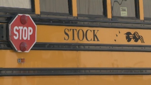 Stock Transportation officials blame former manager for safety violations
