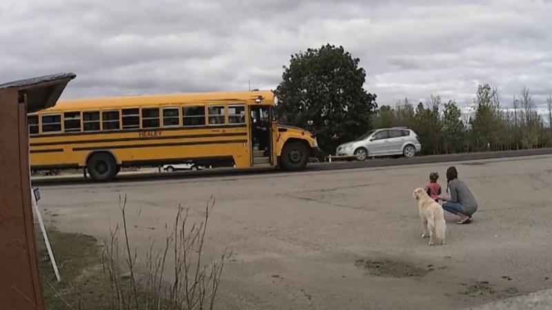 Mark Lambert's video of car passing school bus.