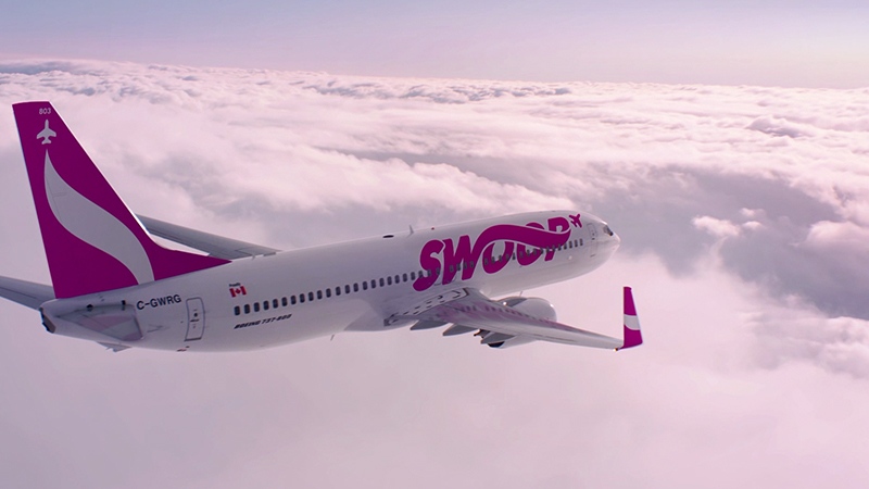 swoop-airline