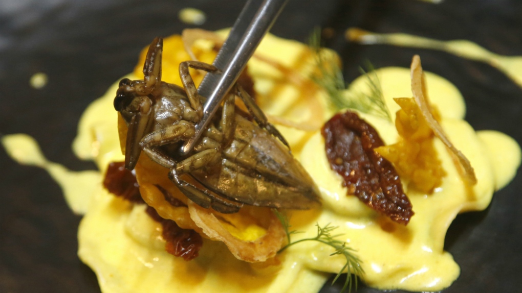 Thai bistro offering bugs in food