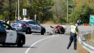 Police and firefighters are seen after a crash that killed a pair of teens in Freelton, Ont. on Oct. 5. (Andrew Collins) 