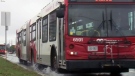 Troubling allegations from an OC Transpo rider