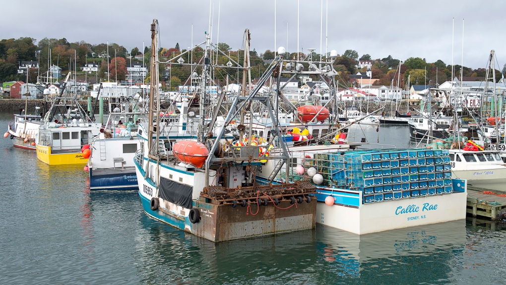 fishing boat loaded with lobster traps
