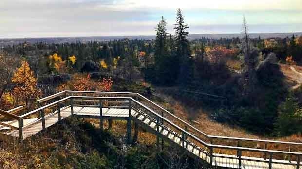 Spruce Woods Provincial Park morning