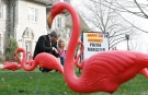 Prime Minister Stephen Harper leaves 24 Sussex with his daughter Rachel to be surprised by a flock of pink flamingos on the front lawn for his 50th birthday in Ottawa, Thursday, April 30, 2009. (Sean Kilpatrick / THE CANADIAN PRESS)