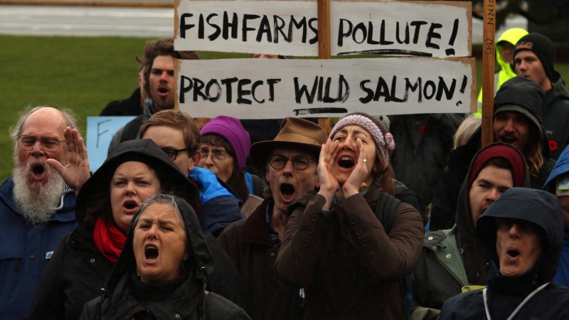 Kwakwaka'wakw nations and supporters protest fish farms in their traditional territories during a demonstration on Lekwungen Territory at the provincial legislature, in Victoria on Thursday, November 2, 2017. (THE CANADIAN PRESS/Chad Hipolito)