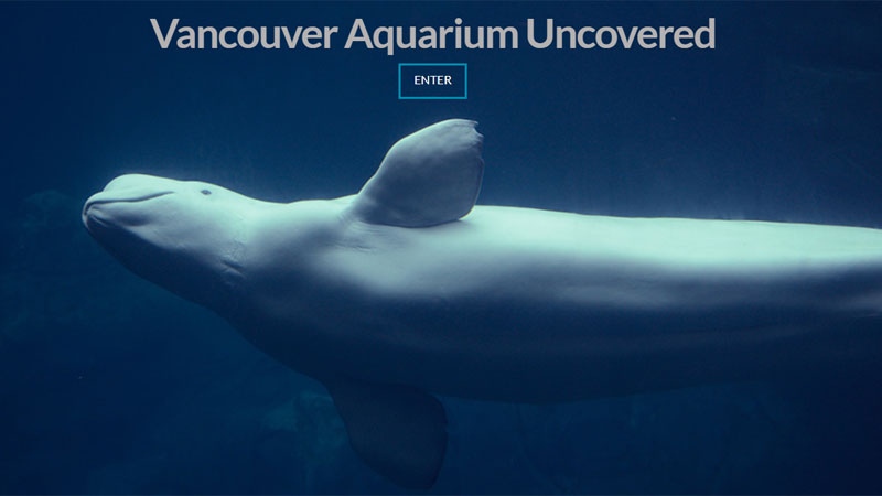 Vancouver Aquarium Uncovered