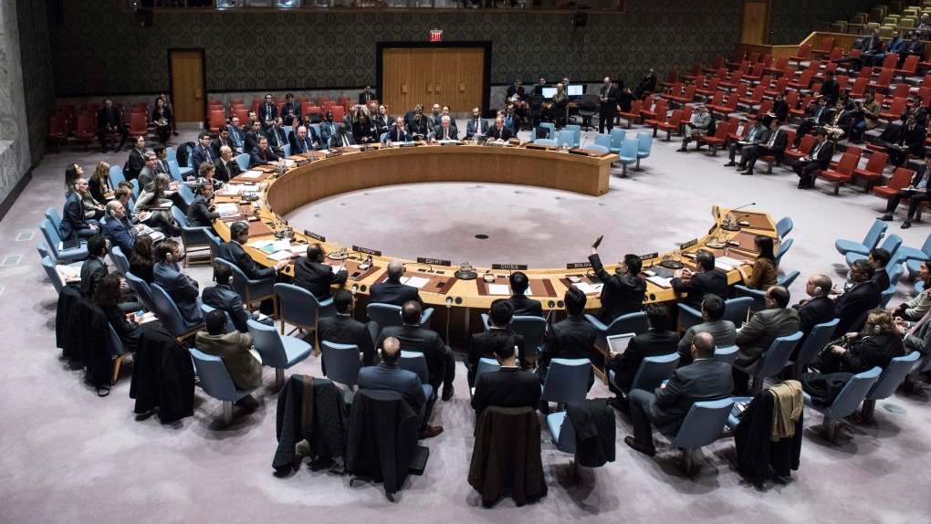 U.N Security Council