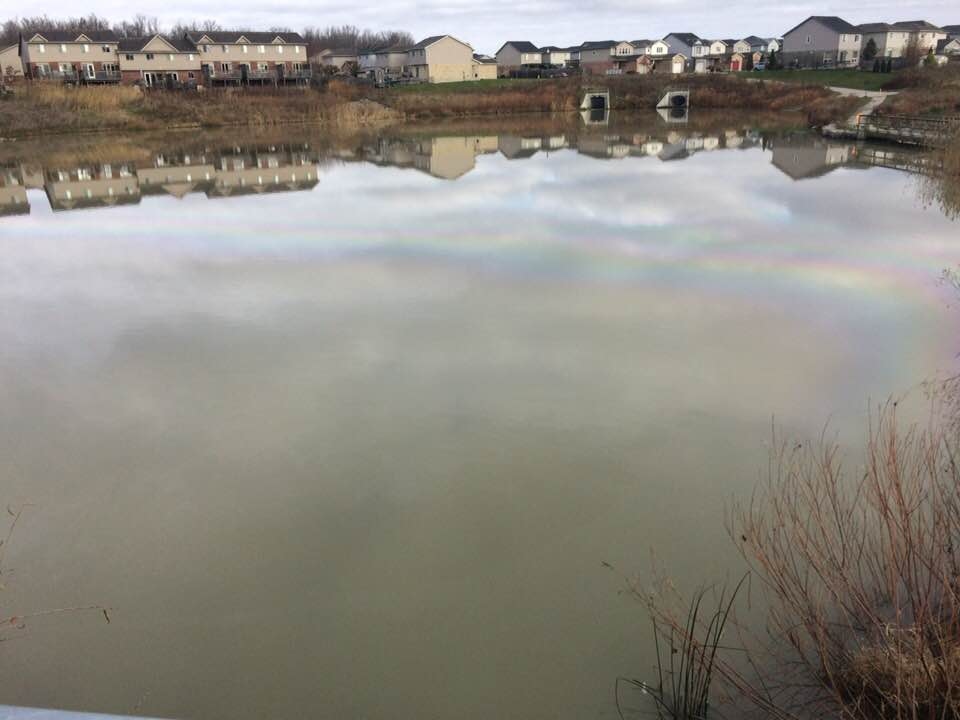 A sheen is seen on a storm drainage pond