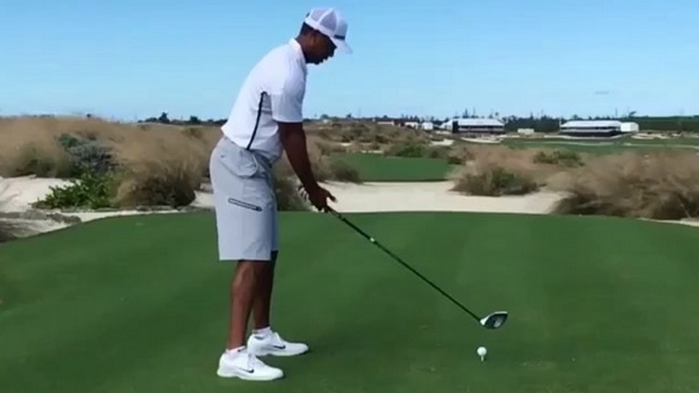 Tiger Woods at Albany Golf Club