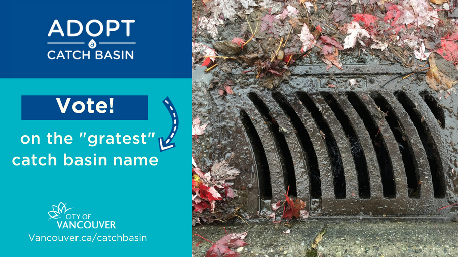 catch basin name contest 