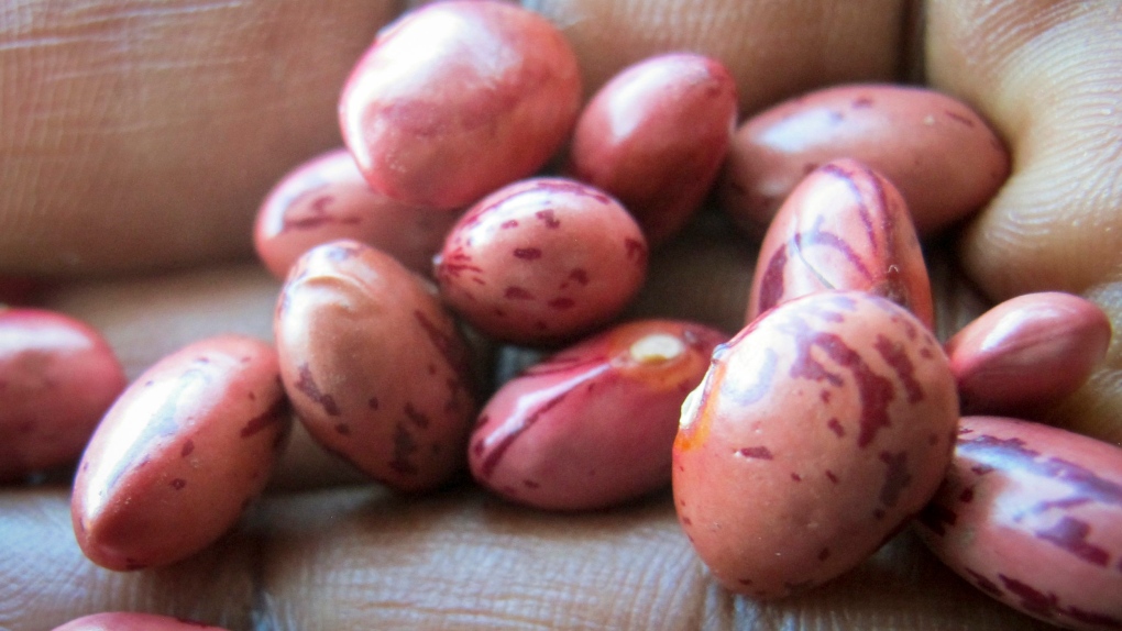 Uganda super beans
