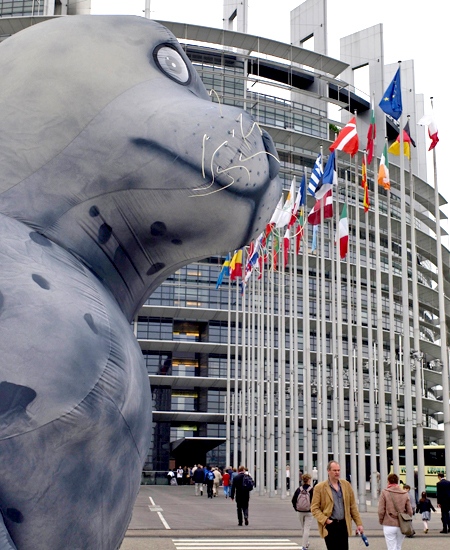 A huge inflatable seal set up by animal rights groups is seen in front of the European Parliament in Strasbourg, eastern France, on Tuesday, May 5, 2009. (AP / Christian Lutz)