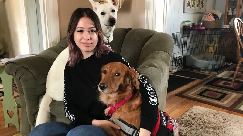 Emily Sadowski with service dogs Priya and Lilo in Windsor, Ont., Tuesday, Dec. 5, 2017. (Angelo Aversa / CTV Windsor)