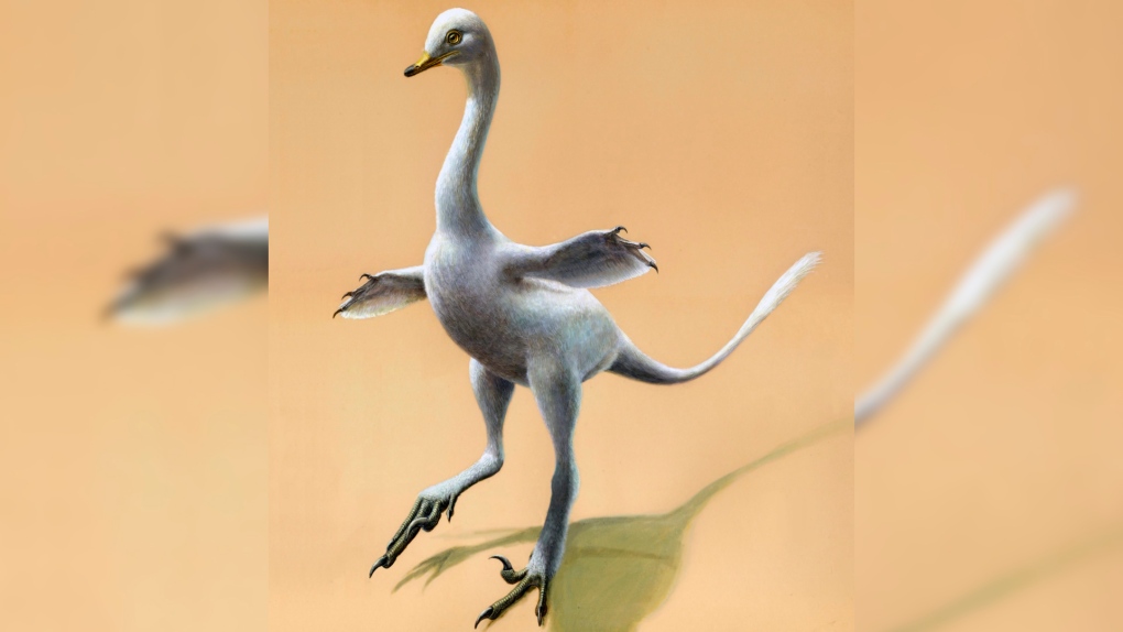Dinosaur duck 