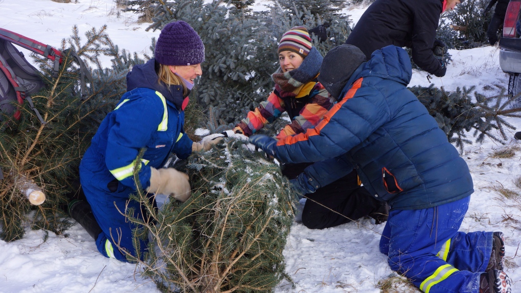 Nature Conservancy of Canada - Christmas tree