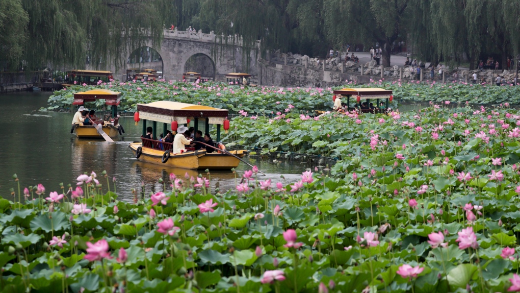 Water lily plants on Beihai Park in Beijing