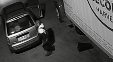 A man is seen handling a truck battery next to a Second Harvest truck in a surveillance camera image. (Second Harvest)