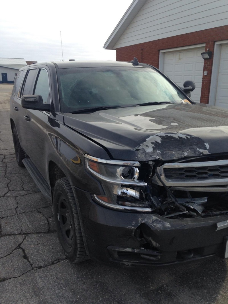 OPP are searching for a pickkup truck after an OPP vehicle was hit