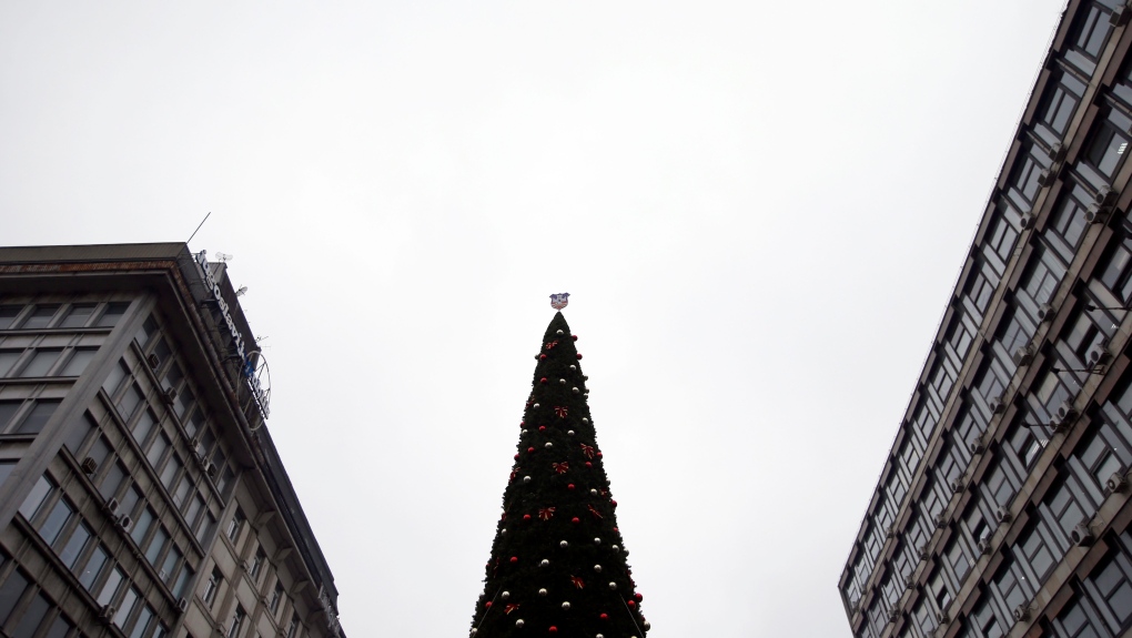 The Belgrade's official Christmas tree