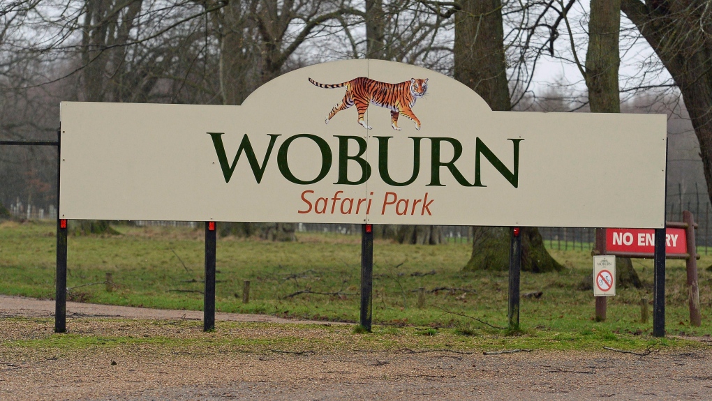 woburn safari fire