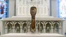 St. Francis Xavier relic (Catholic Christian Outreach)