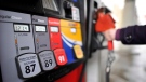 A motorist reaches for the pump at a gas station in Toronto on Thursday, February 24, 2011. (THE CANADIAN PRESS/Patrick Dell)