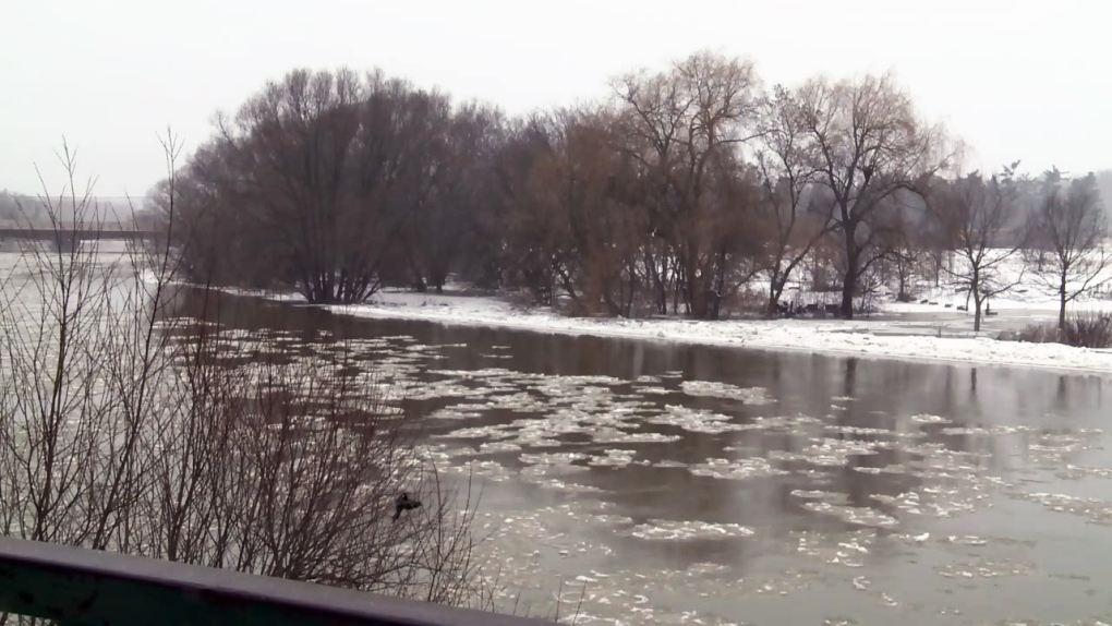 Ice in Grand River