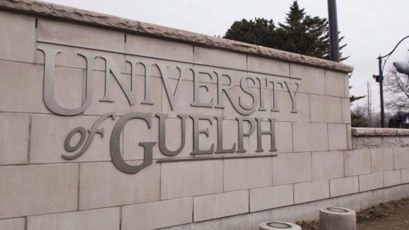 The University of Guelph in Guelph, Ontario is shown on Friday March 24, 2017. THE CANADIAN PRESS/Hannah Yoon