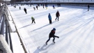 People skate on the Rideau Canal Skateway on Family Day in Ottawa on Monday, Feb. 15, 2016. (Justin Tang/THE CANADIAN PRESS)