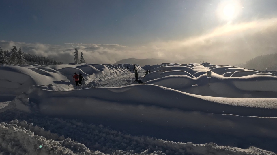Blizzard strands dozens at Vancouver Island ski resort | CTV News
