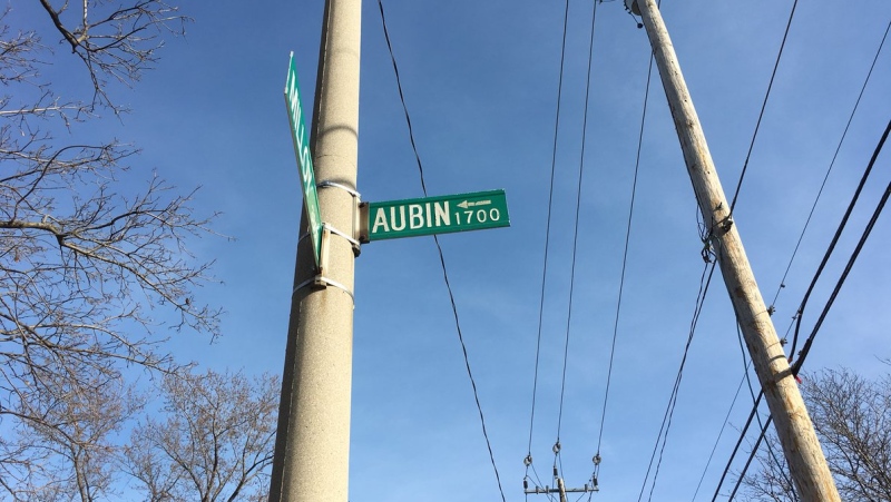 Aubin Road in Windsor, Ont., on Saturday, Jan. 20, 2018. (Melanie Borrelli / CTV Windsor) 