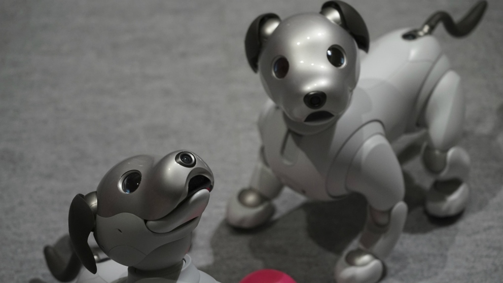 Japan launches more robot pets