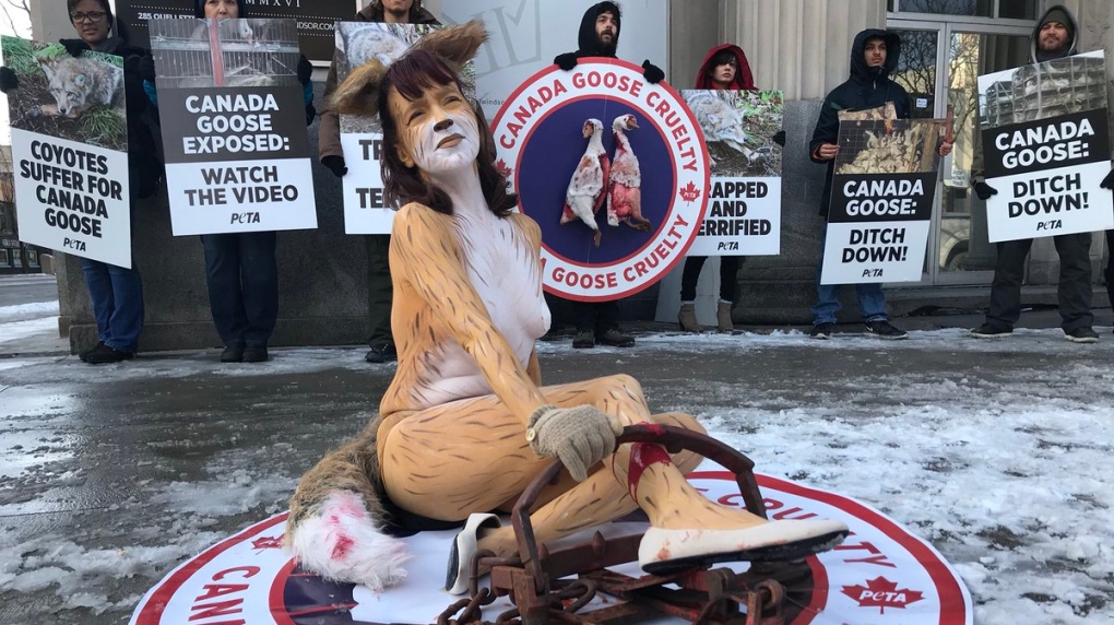 Windsor PETA members protest against Canada Goose jackets