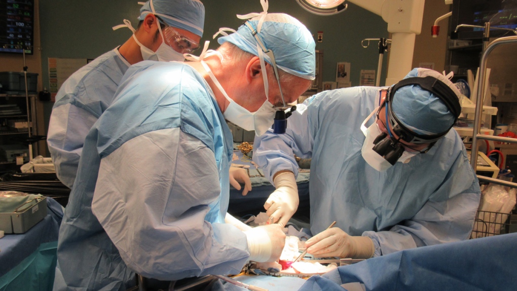 surgeons perform a kidney transplant