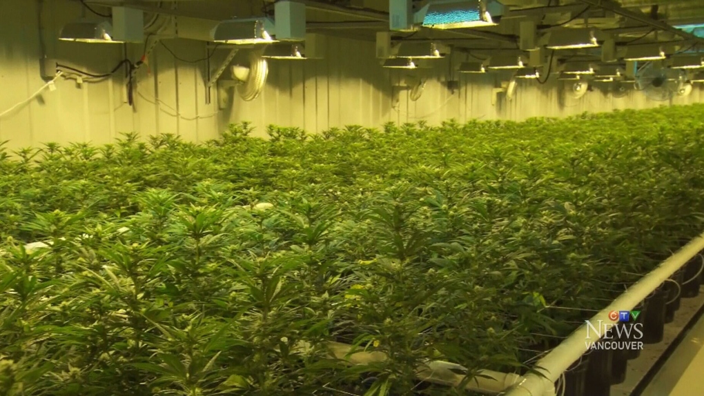 B.C. unveils legal marijuana rules