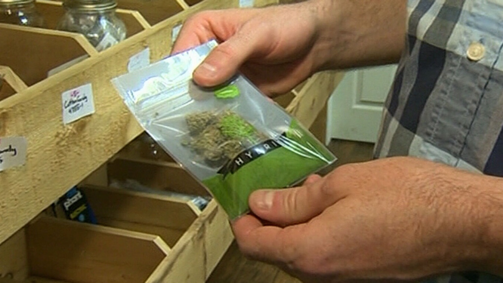 Province releases plan for recreational pot sales