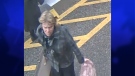 Chatham-Kent police are looking for a suspect after luggage was stolen from Via Rail station. 
